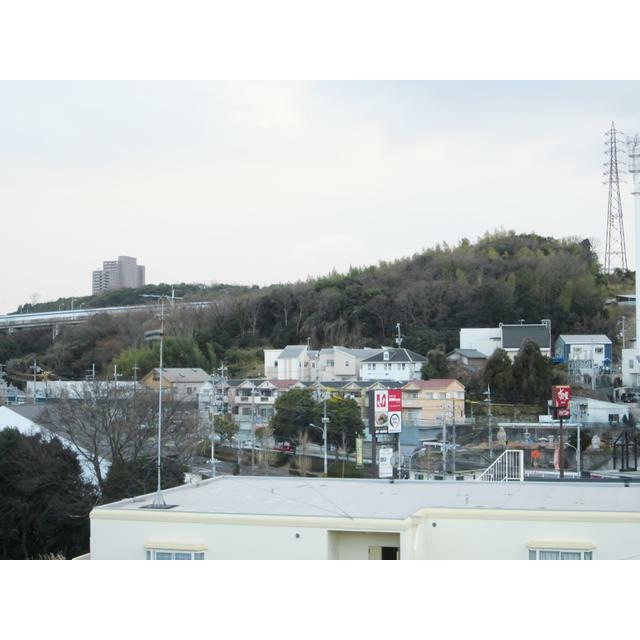 チェリーハイツの展望