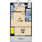 エレガンスレイヴの画像