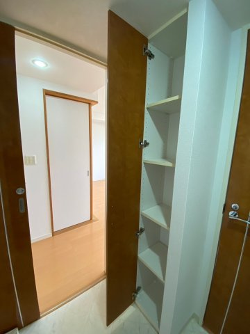 サンクレイドル水戸リアマーレの収納|洗面所内、小物を収納するのに便利です