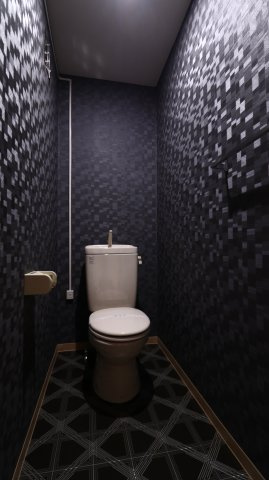 グリーンハイツ白川のトイレ