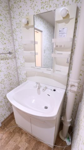 グリーンハイツ白川の洗面所