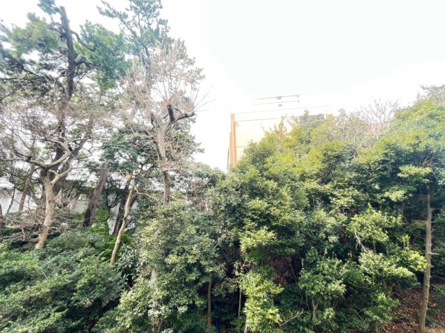 グリーンヒル舞子の展望