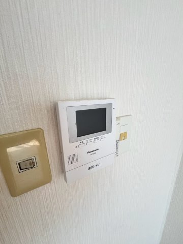 ピッケル加佐のセキュリティ