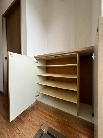 ピッケル加佐のその他