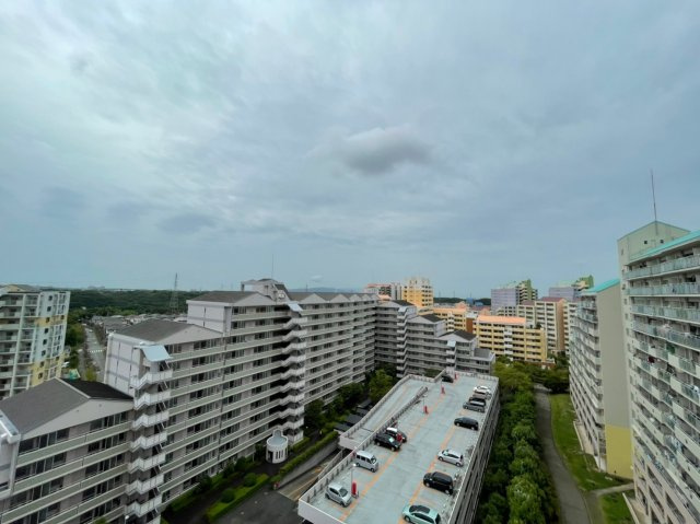 井吹西シティコート　の展望