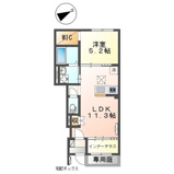 ＧＲＥＥＮ　ＳＯＲＲＥＬ　Ⅱ（グリーン　ソレル　ツー）の画像