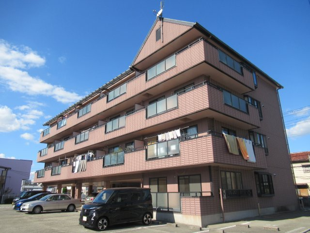 サンフラワー貴崎