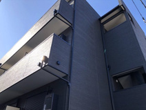 Will Mira上青木の画像