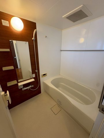 Casa ELEVATO II(カーサエレベート2)の浴室