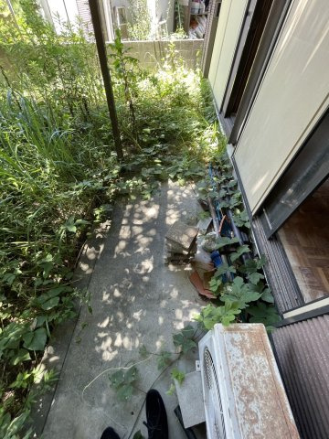 二丈武１丁目　戸建の庭|お庭が付いています