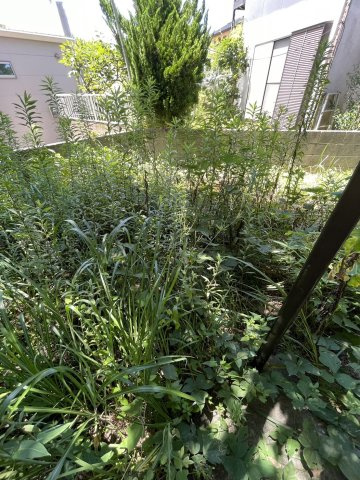 二丈武１丁目　戸建の庭|お庭が付いています
