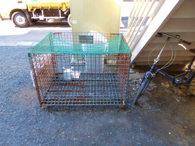 【その他】 | ガーデナハイツ