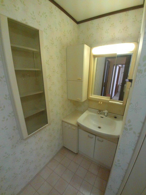 サンアミニティの洗面所