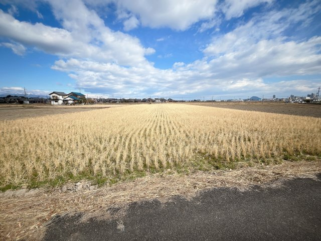 草津市御倉町　売土地の前面道路含む現地写真