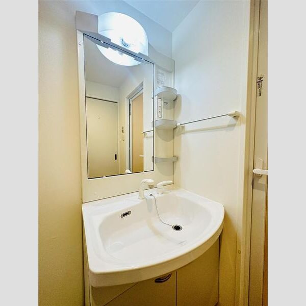 キャッスルコート神田町の洗面所