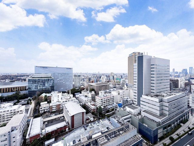 Brillia Towers目黒サウスレジデンスの展望