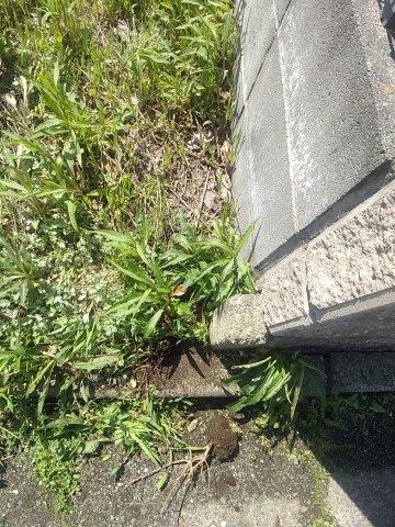 高島市今津町弘川59坪売地のその他|北西側境界