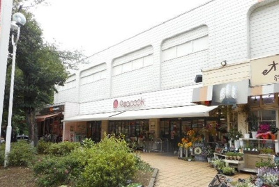 【周辺】 | フォレスタ国立(フォレスタクニタチ)