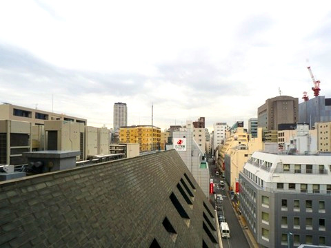 フォルトゥナ日本橋　8階　角　部屋　リ　フォーム済の展望