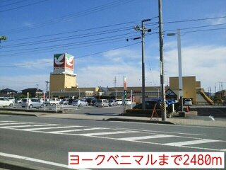 エレガンテ・パルコⅡの周辺|ヨークベニマルまで2480m