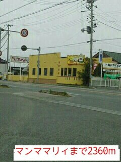 エレガンテ・パルコⅡの周辺|マンママリィまで2360m