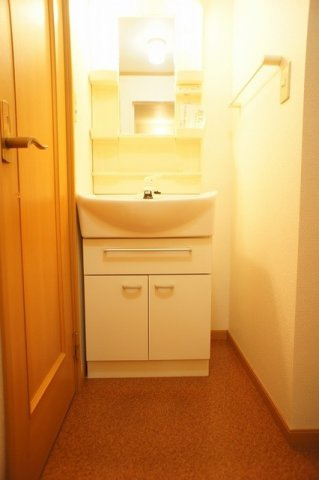 エレガンテ・パルコⅡの洗面所