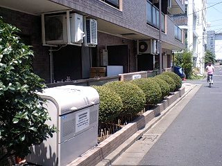【その他】 | グレイスコア