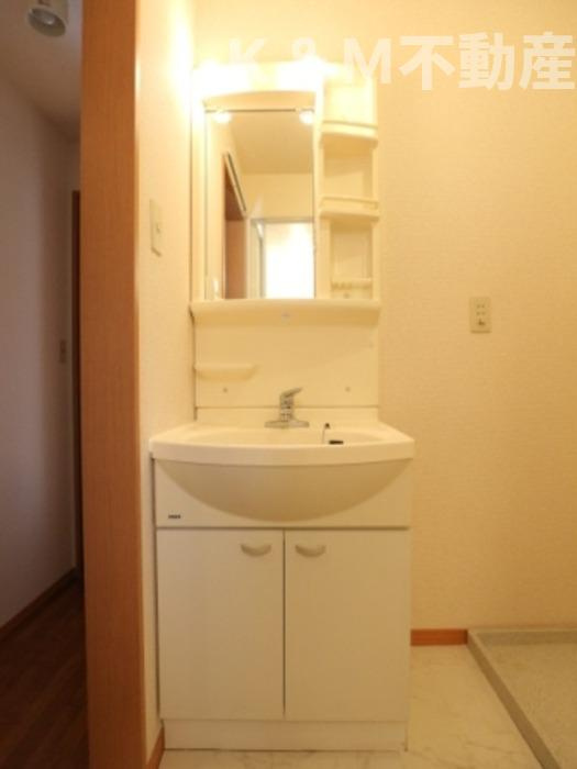 セレニティーホームズCの洗面所|洗面所です