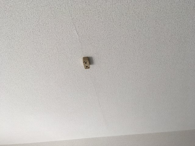 洋室６．６帖の照明はご自身で付けて頂きます♪