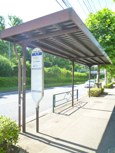 バス停がマンションの目の前にあるので、とっても便利です♪