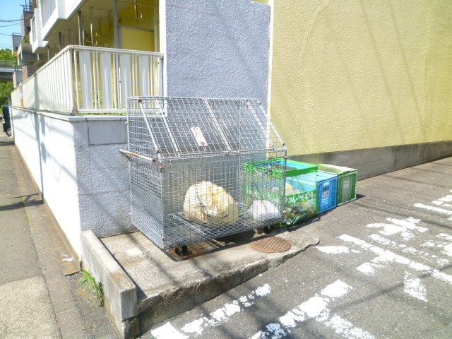 敷地内ごみ置き場は、きちんと整理整頓されています♪