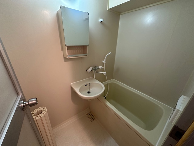 アルペンローゼ川口502