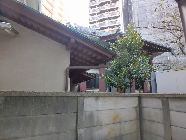 リエナ白山の展望