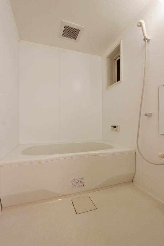 カリーノカーネ