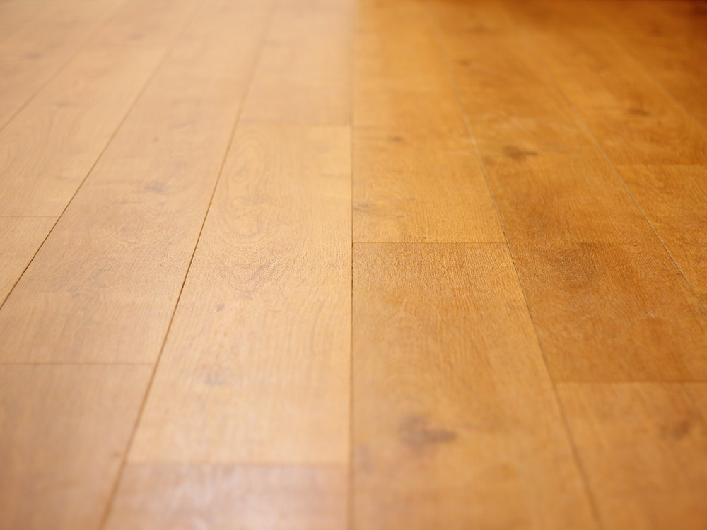 プランヴェール渋谷Ⅱ