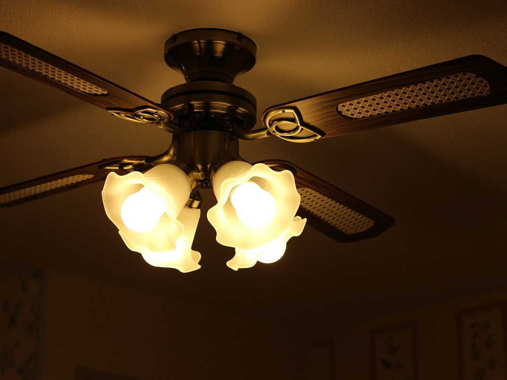 プランヴェール渋谷Ⅱ