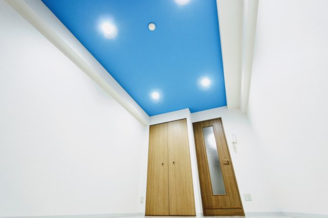 ジュネス医大東の洋室