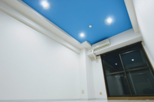 ジュネス医大東の洋室