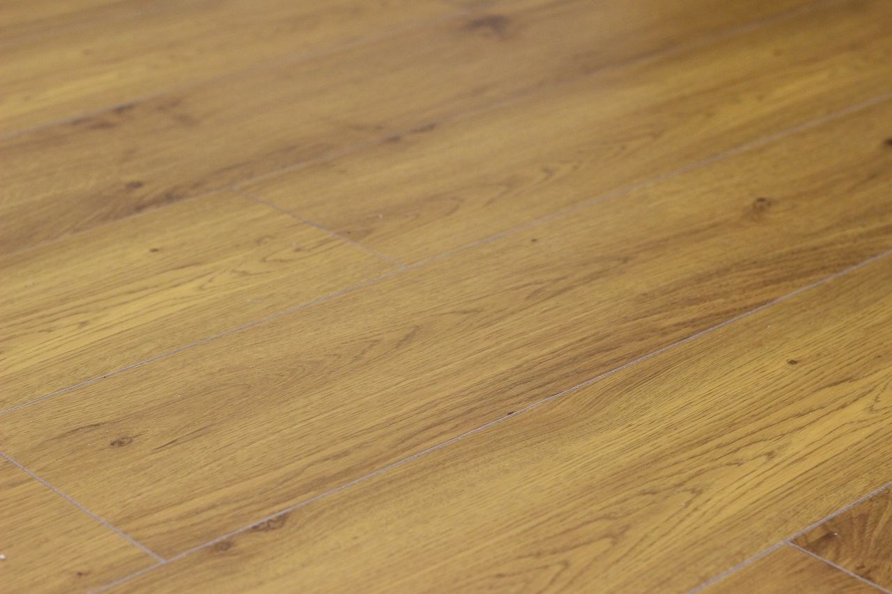 ユニバーシティハウス