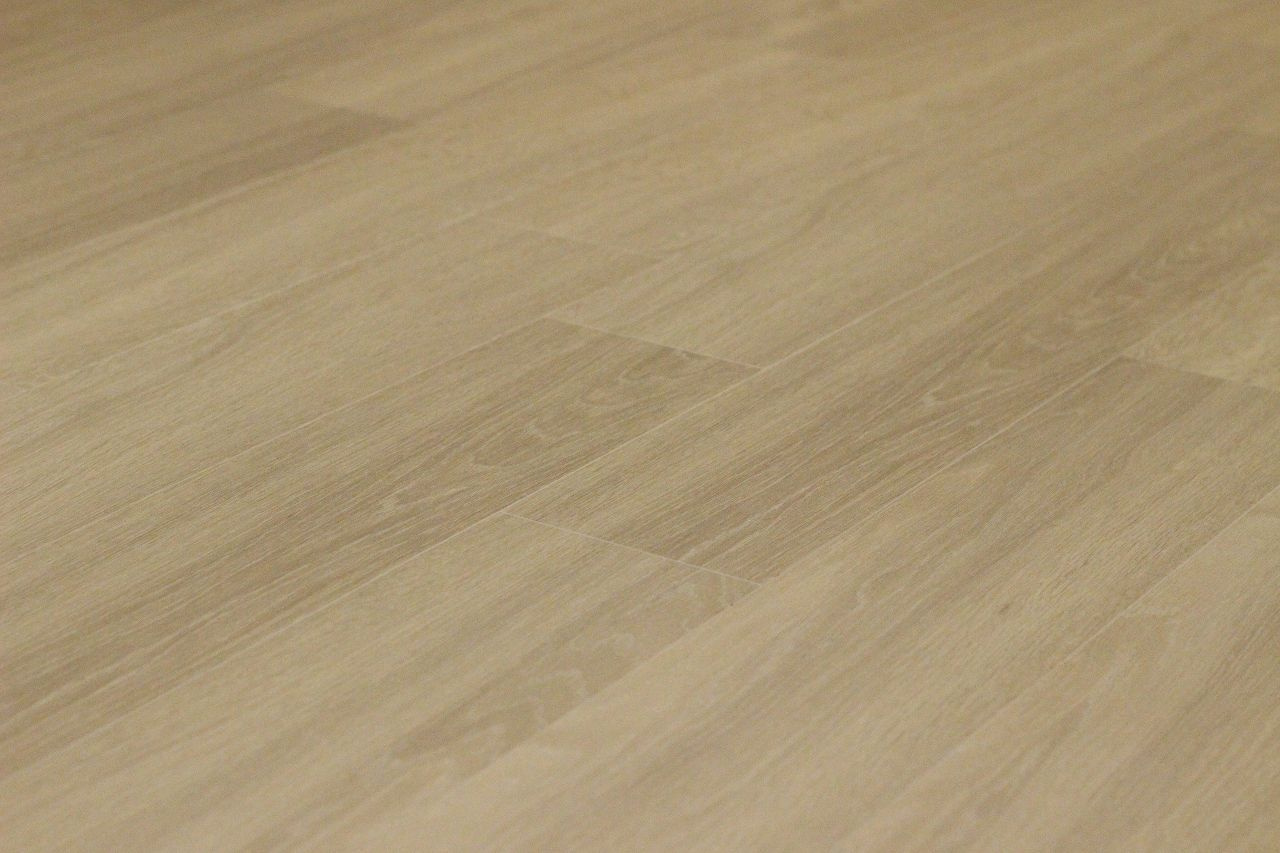コーポ山崎