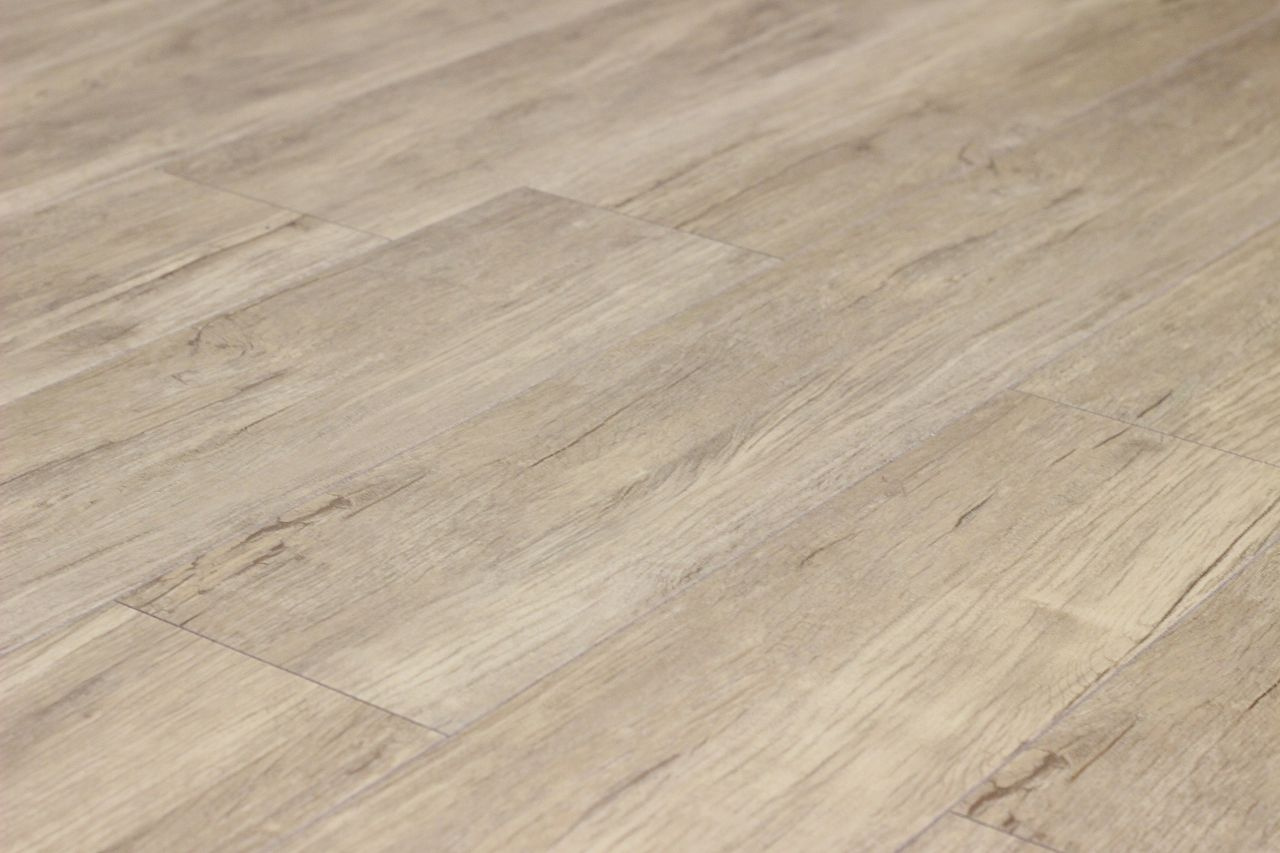 フライハイト朝倉