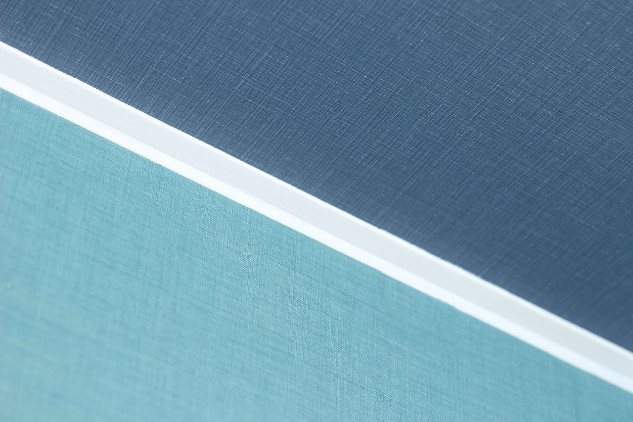 フライハイト朝倉