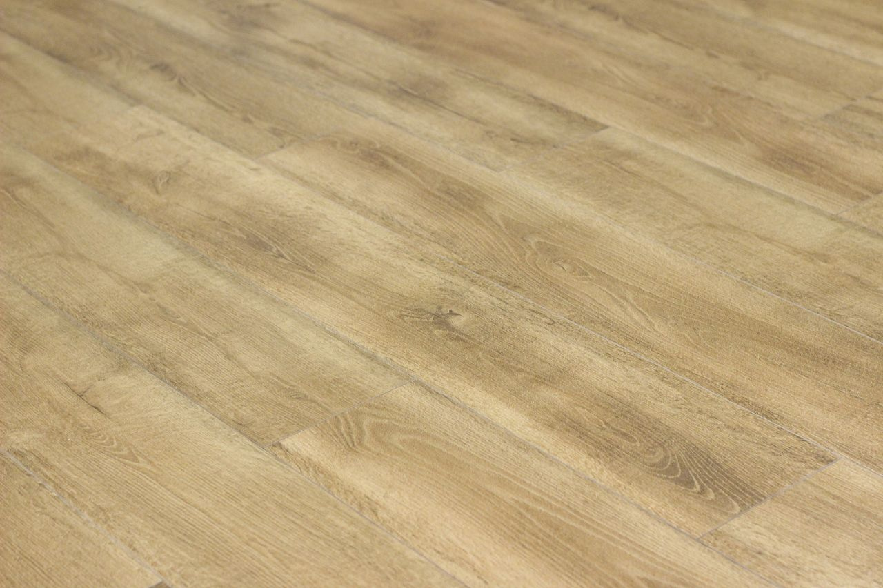 ハイツルネッサ楠