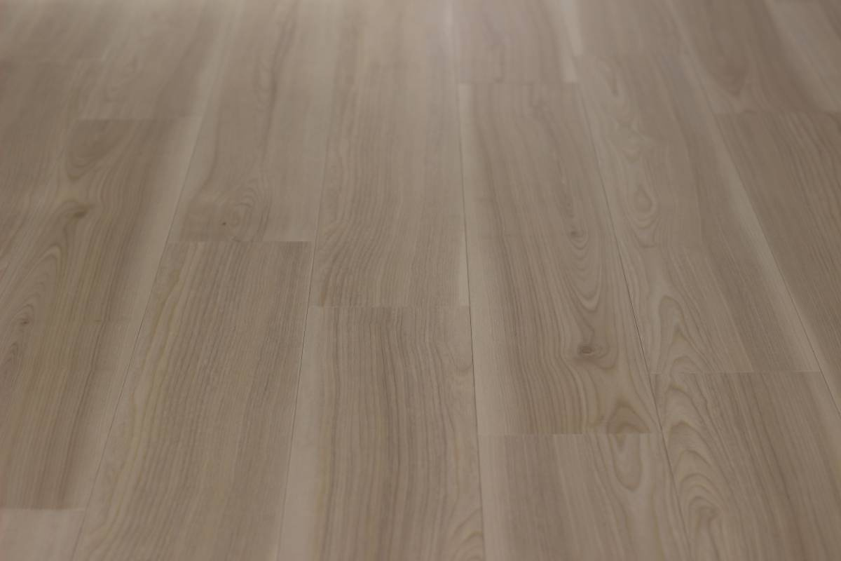 ハイツサンバード