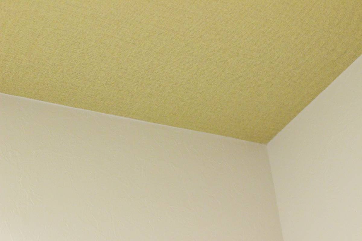 ハイツルネッサ楠