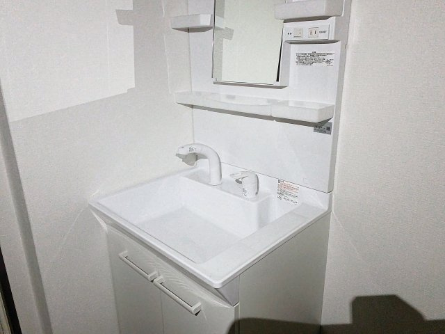 ロイヤルコートHALの洗面所