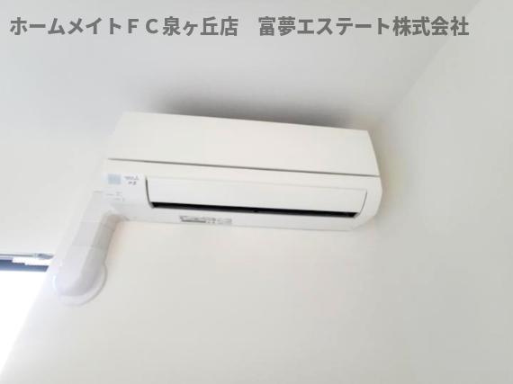 【設備】 | D porta cacto