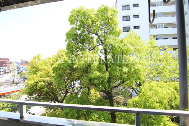 ハイツコスモスの展望