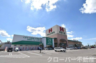  | サンシャイン | ハローズ坂出林田店