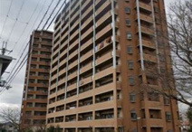 フルヴェール白鷺の画像